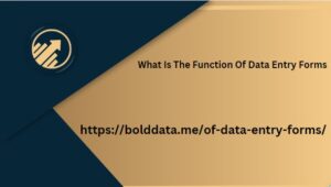 What Is The Function Of Data Entry Forms